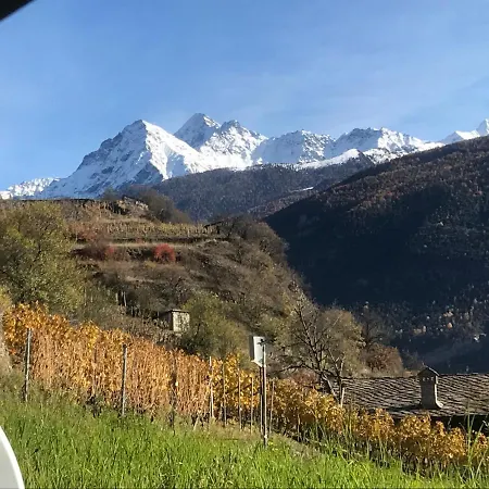 Verger Plein Soleil Saint-Pierre