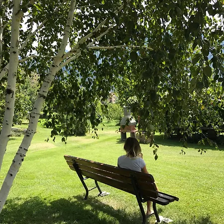 Verger Plein Soleil *