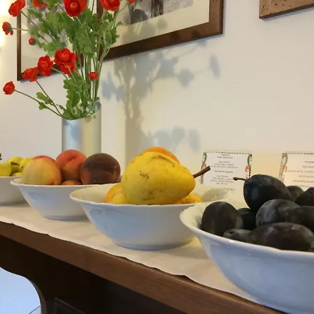 韦尔热普莱因马戏团住宿加早餐旅馆 住宿加早餐酒店