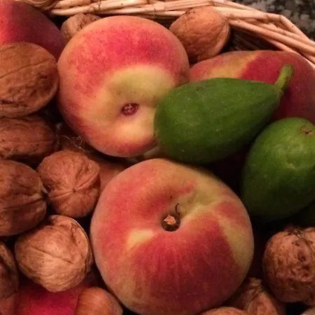 Verger Plein Soleil B&B 4*