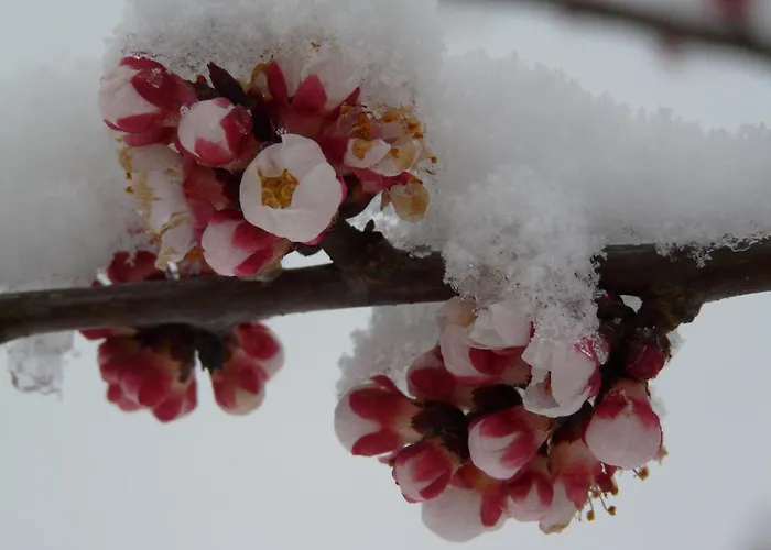 Verger Plein Soleil Bed & Breakfast