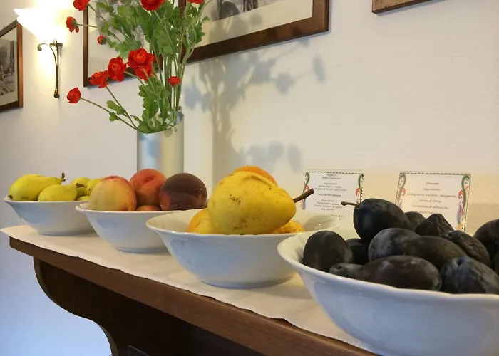 Verger Plein Soleil Bed & Breakfast