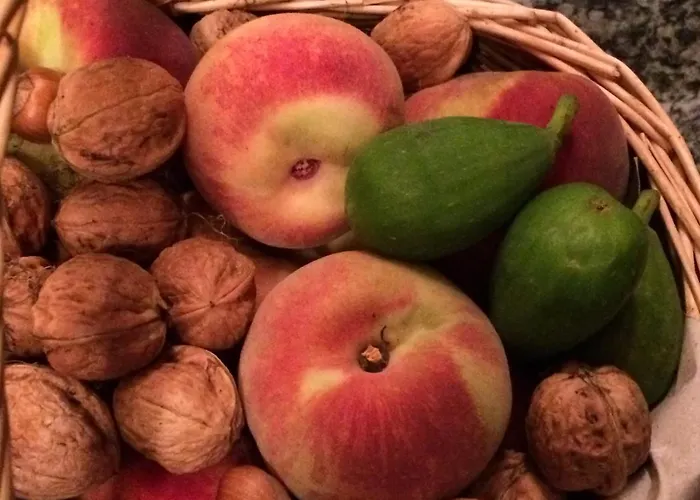 Verger Plein Soleil Bed & Breakfast 4*